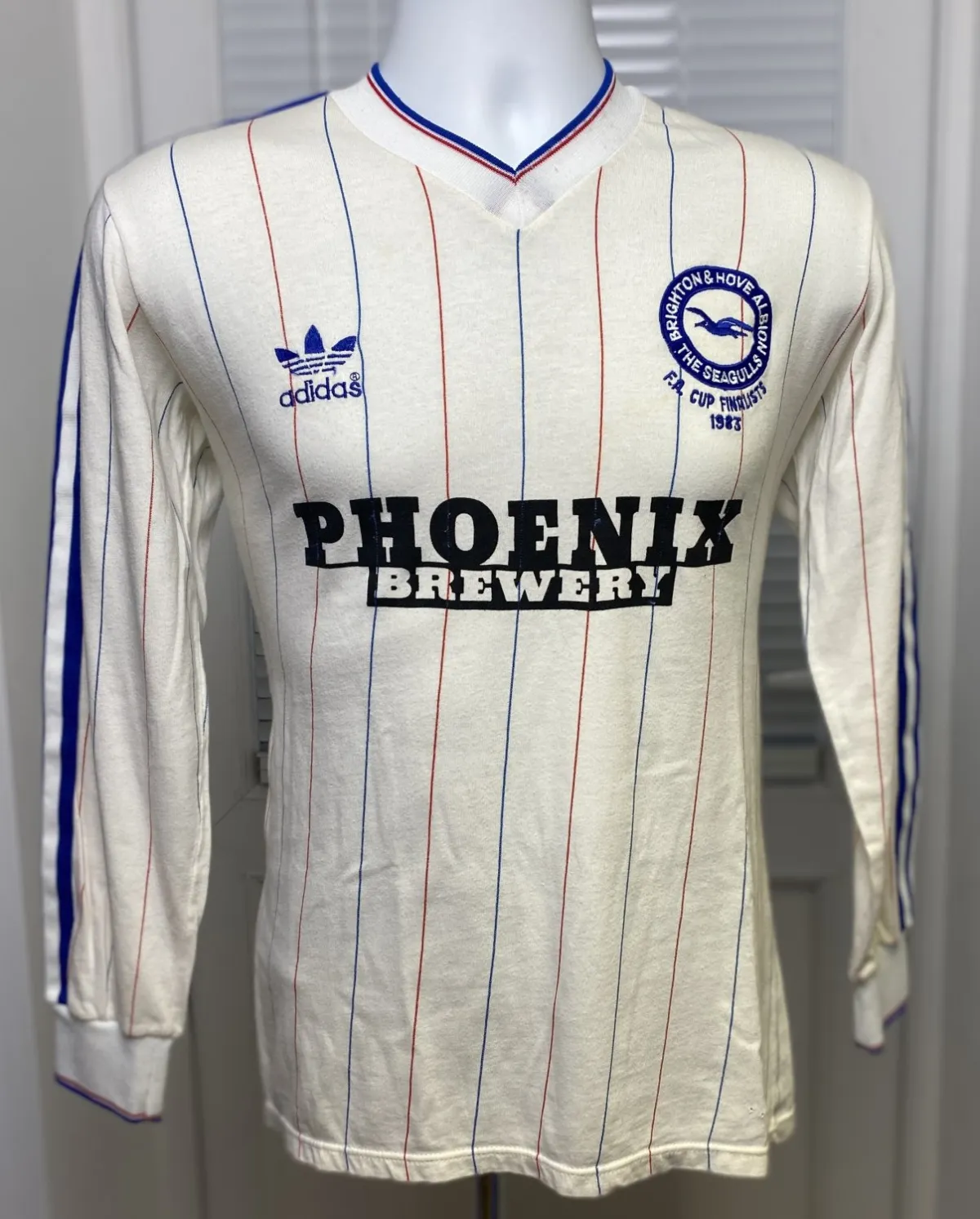 Brighton & Hove Albion
